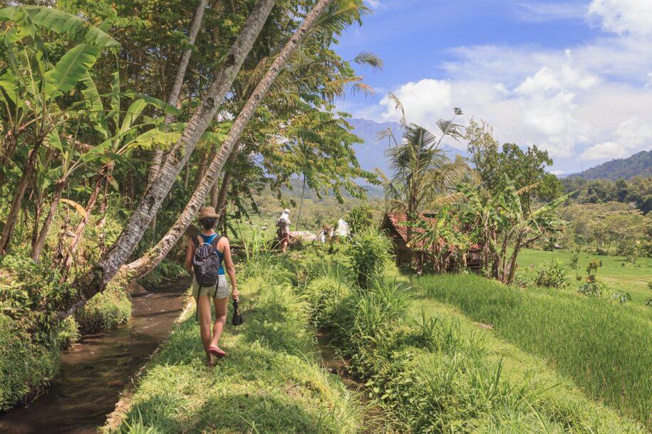 A Morning Walk Through Sidemen Valley