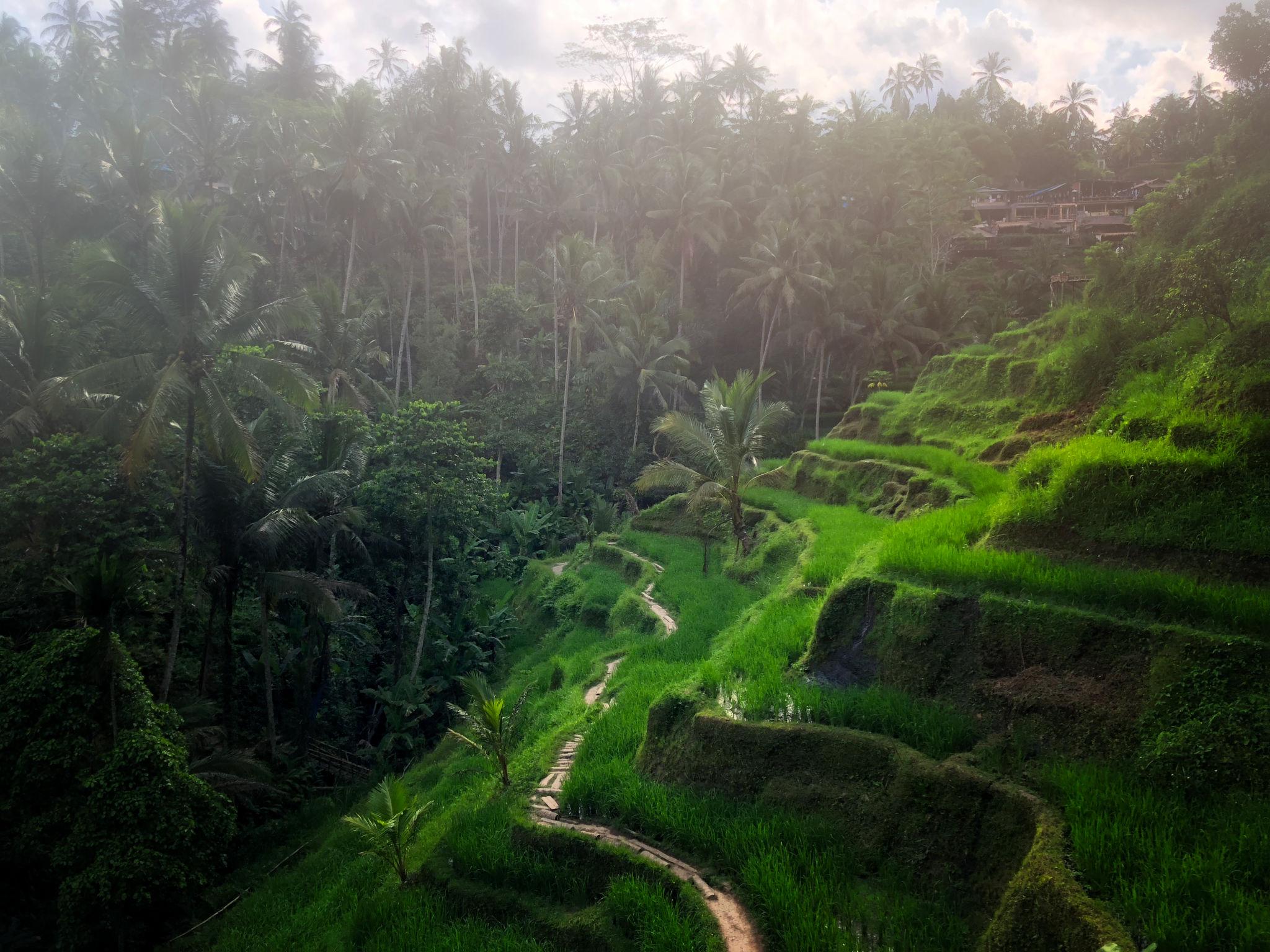 One Perfect Day in Bali