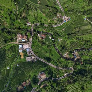 Slow Bali Journey: Ubud Slow Living