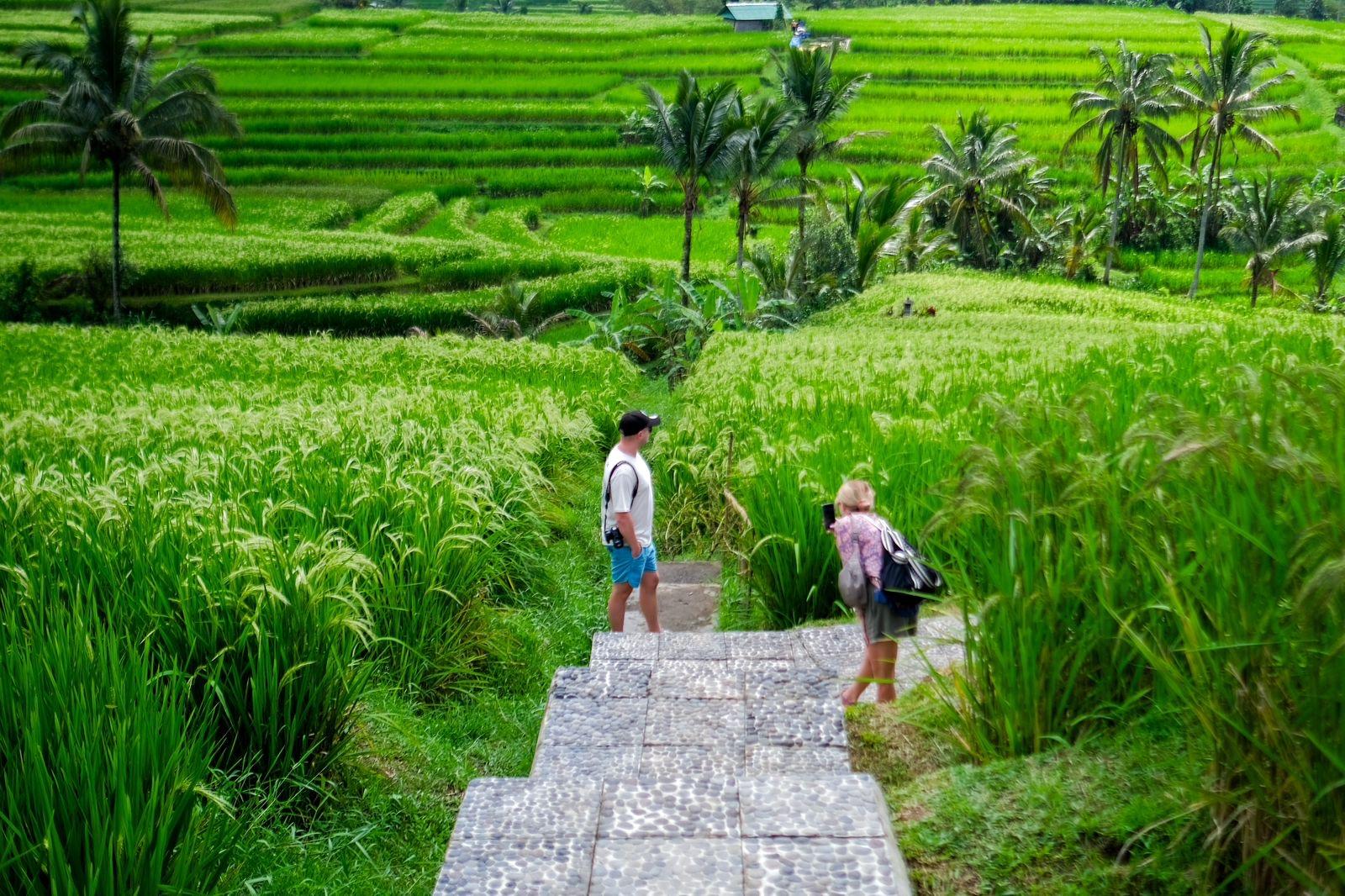 Slow Down, Enjoy Bali: The Philosophy Behind Lokaleisure